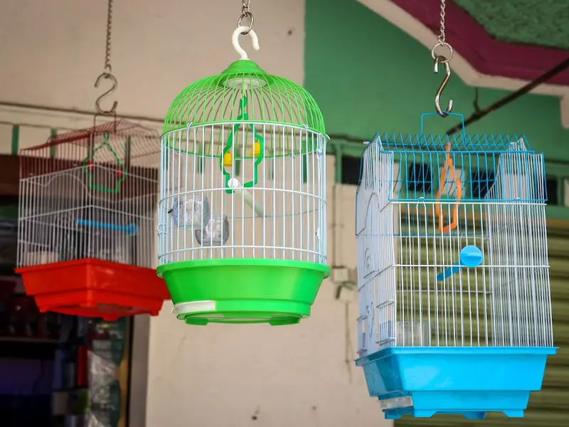 EssEnnAqua&Petzone, photo 5