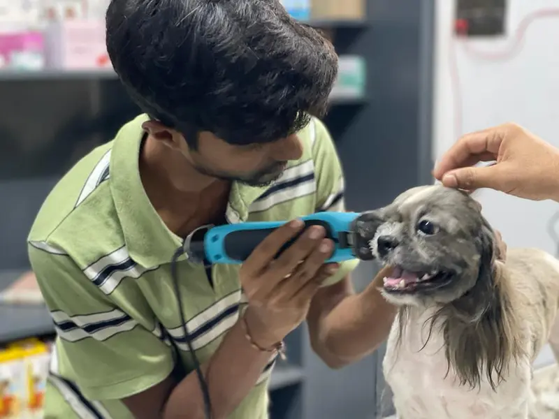 LeelaVet Multispeciality Veterinary Hospital, photo 2