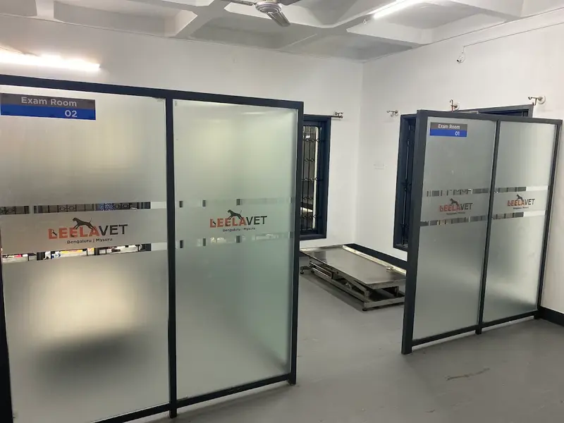 LeelaVet Multispeciality Veterinary Hospital, photo 3