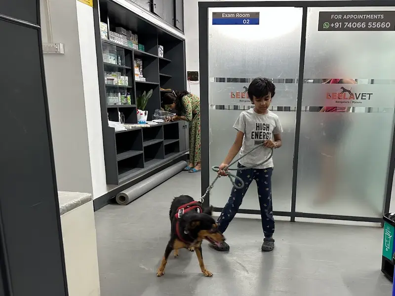 LeelaVet Multispeciality Veterinary Hospital, photo 5