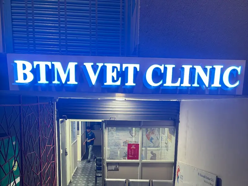 BTM VET clinic, photo 3