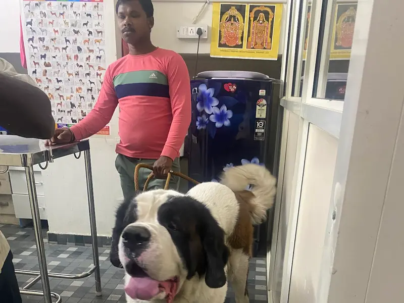 BTM VET clinic, photo 5