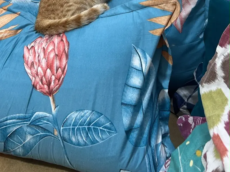 The Pet Comfort Inn, photo 5