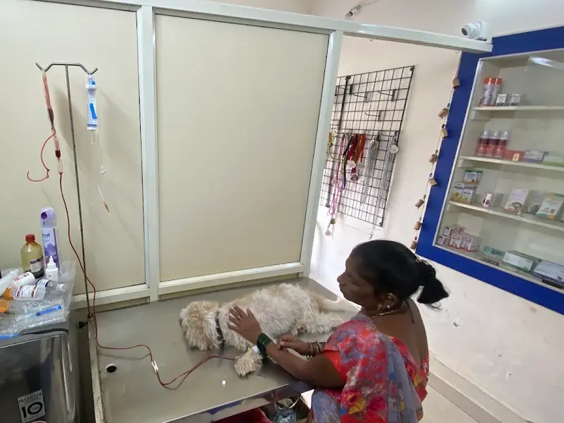 Noble Pet Care, photo 5