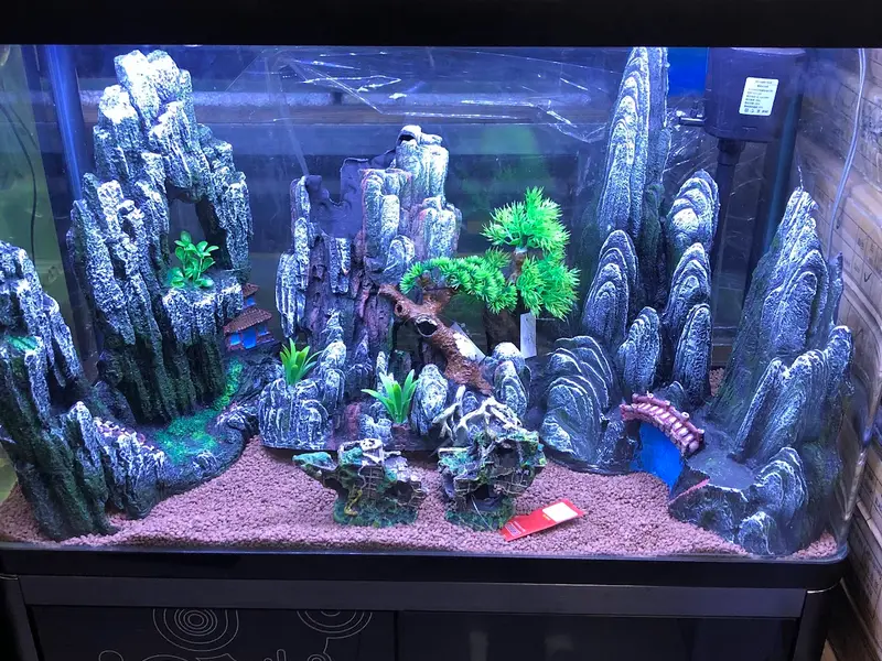 Vasavi Aquarium, photo 4