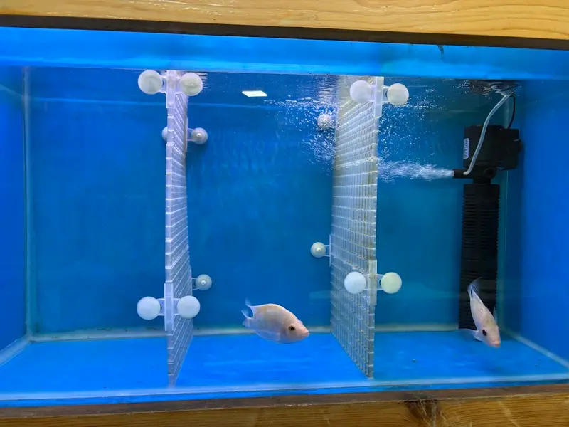 Vasavi Aquarium, photo 5
