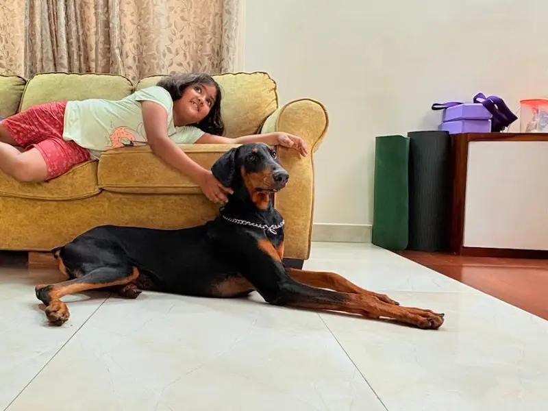 DOG Trainer Nitish, photo 4