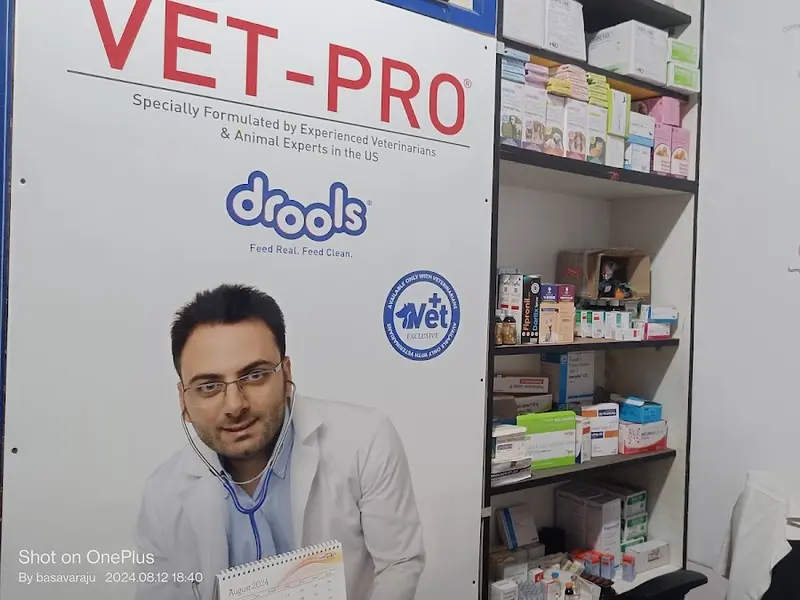 NANDI VETERINARY CLINIC, photo 2