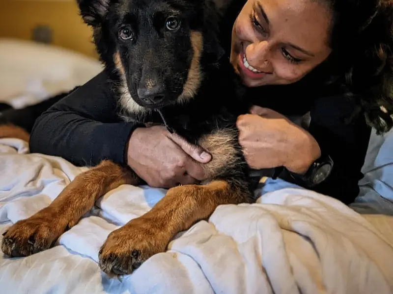 Canine Coach Disha, photo 5