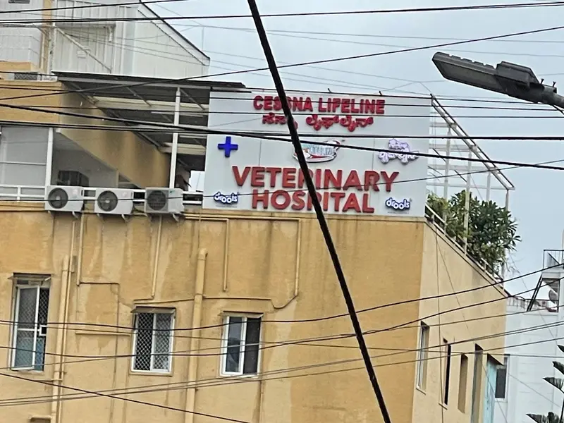Cessna Lifeline Veterinary Hospital - Domlur, photo 5