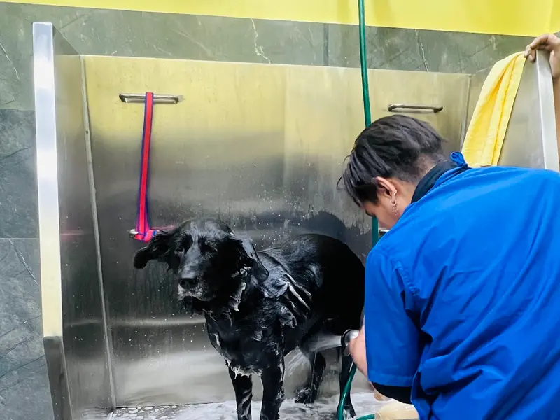 Vetic Pet Clinic Domlur, photo 5