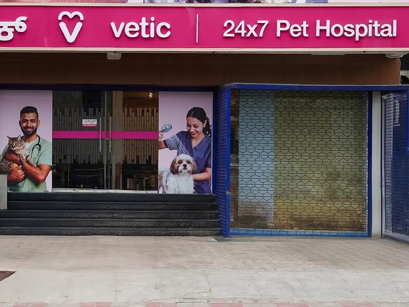 Vetic Pet Clinic Domlur