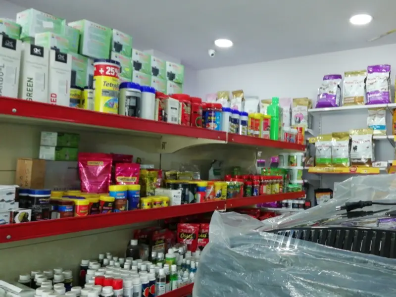 PISCEAS Aquarium and Pet Shop, photo 2