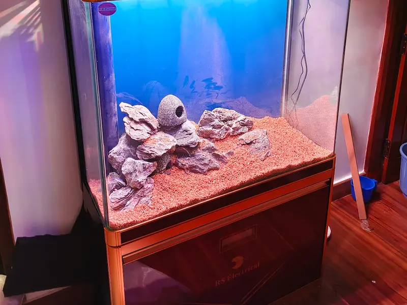PISCEAS Aquarium and Pet Shop, photo 3