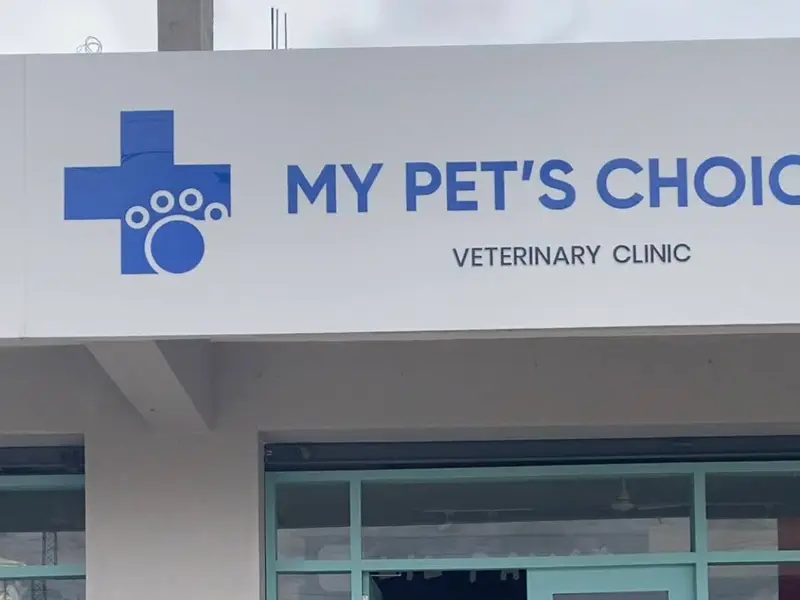 My Pet's Choice Electronic city, photo 5