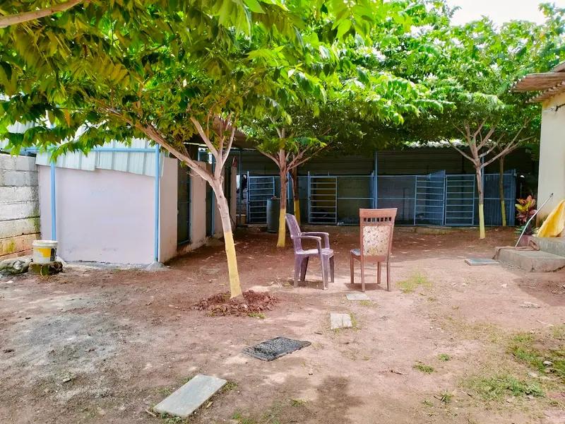 Teddy's pet boarding centre, photo 3