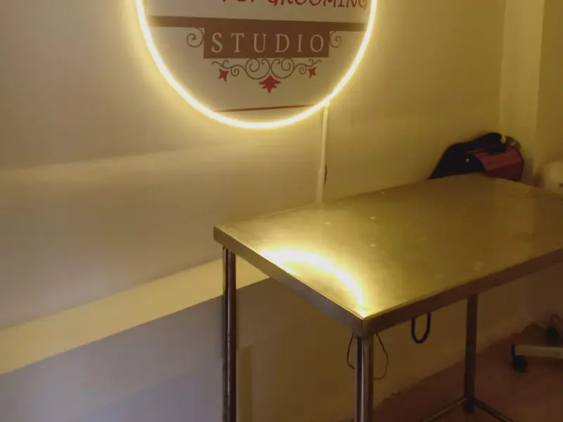 Wow Pet Grooming Studio, photo 5