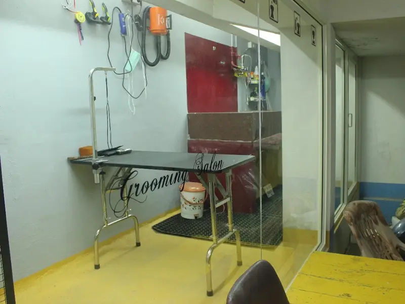 K9 Vet Clinic and Grooming (Dr.KV. Venugopal), photo 3