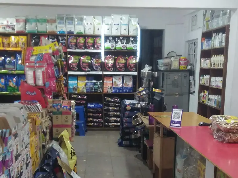 VET NEEDS, photo 3