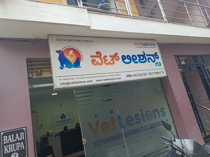 VetLesions Veterinary Diagnostic Laboratory, photo 3