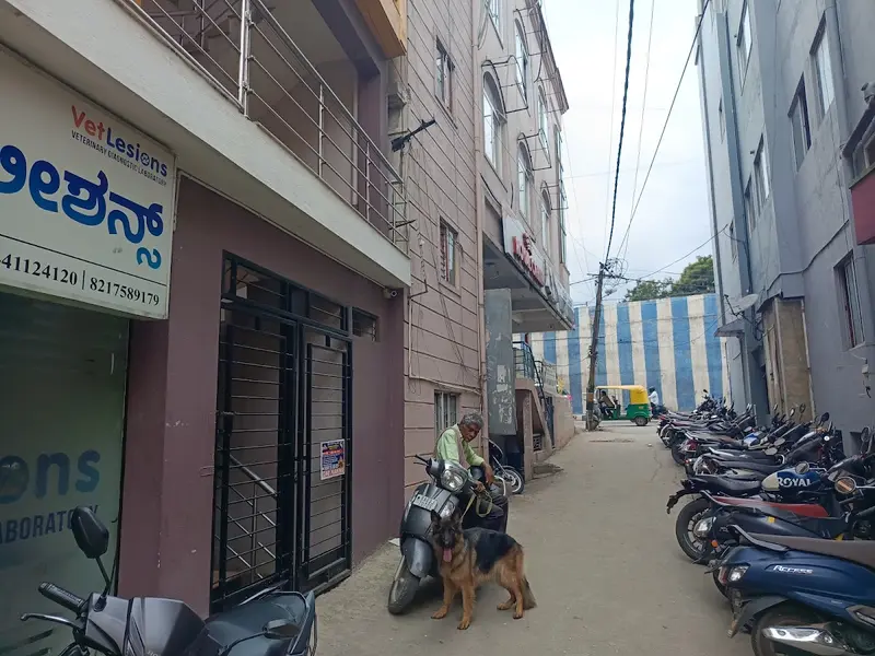VetLesions Veterinary Diagnostic Laboratory, photo 4