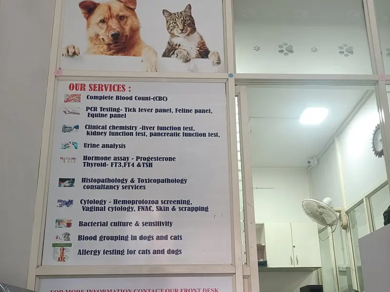 VetLesions Veterinary Diagnostic Laboratory, photo 5