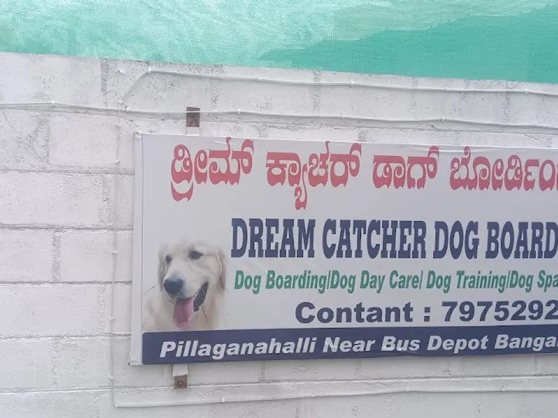 dog boarding centre, photo 5