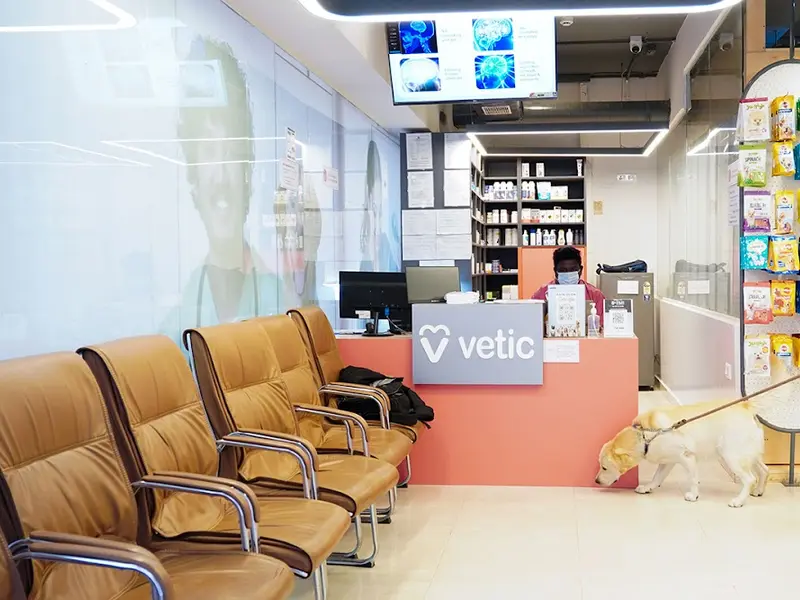 Vetic Pet Clinic Sadashiva Nagar, photo 3