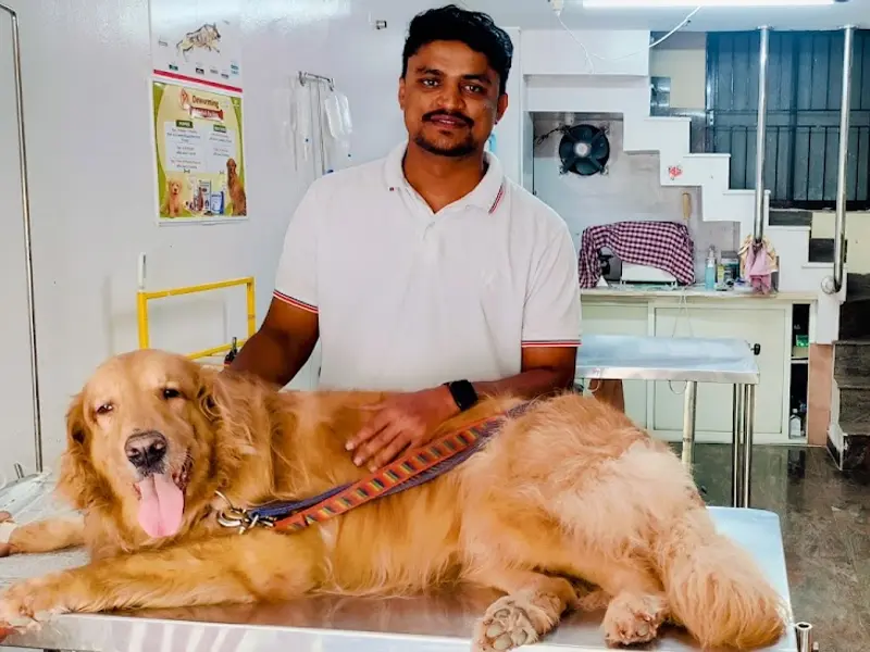 D Veterinary Clinic, photo 2