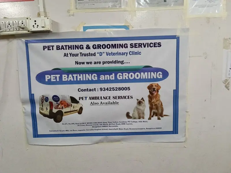 D Veterinary Clinic, photo 3