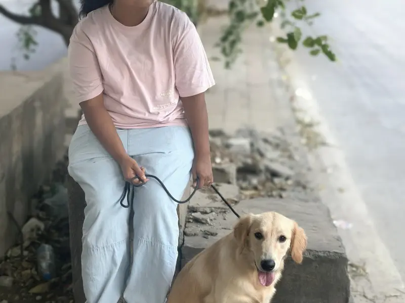 Klever k9 dog trainer MANISH, photo 3