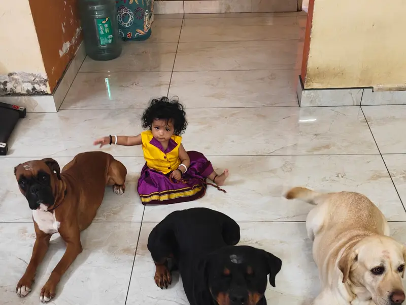 Klever k9 dog trainer MANISH, photo 5