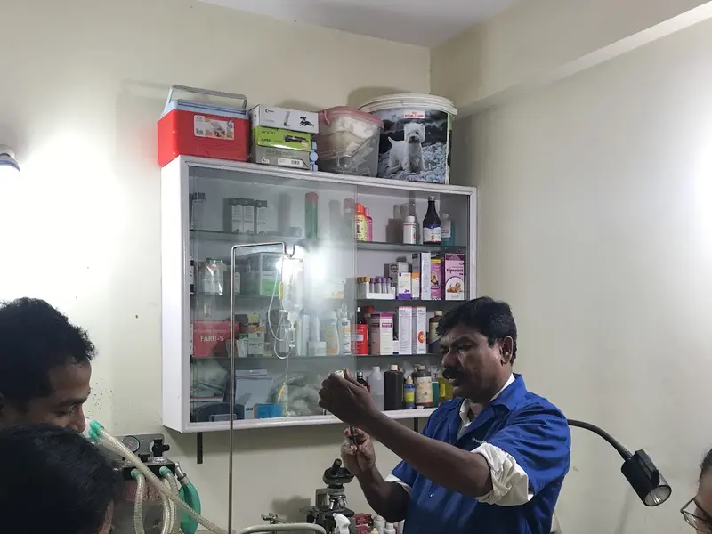 Keerthi Veterinary Clinic, photo 4