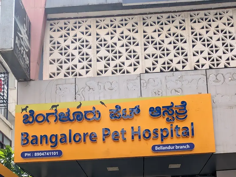 Bangalore pet hospital, photo 2