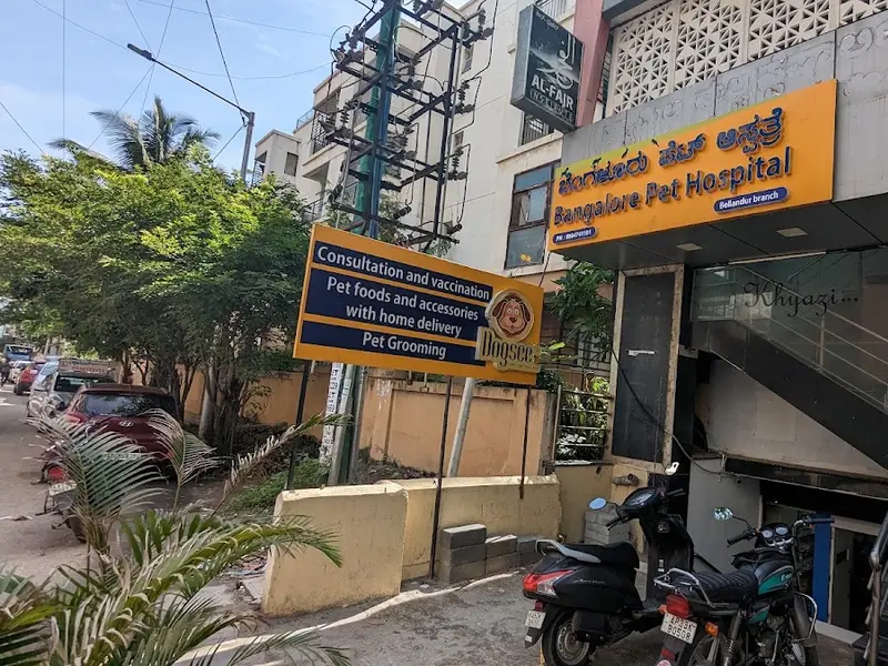 Bangalore pet hospital, photo 3