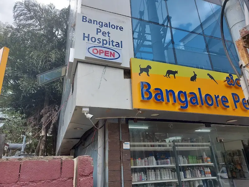Bangalore pet hospital, photo 4