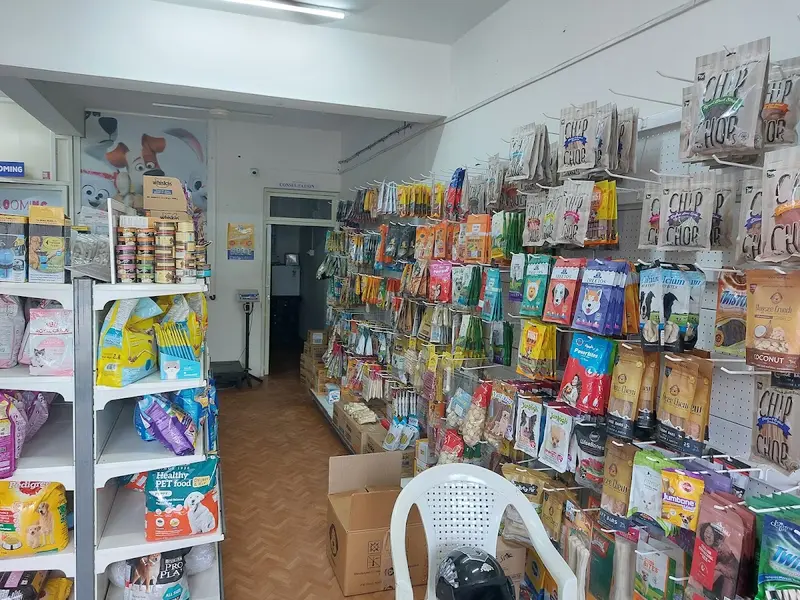Bangalore pet hospital