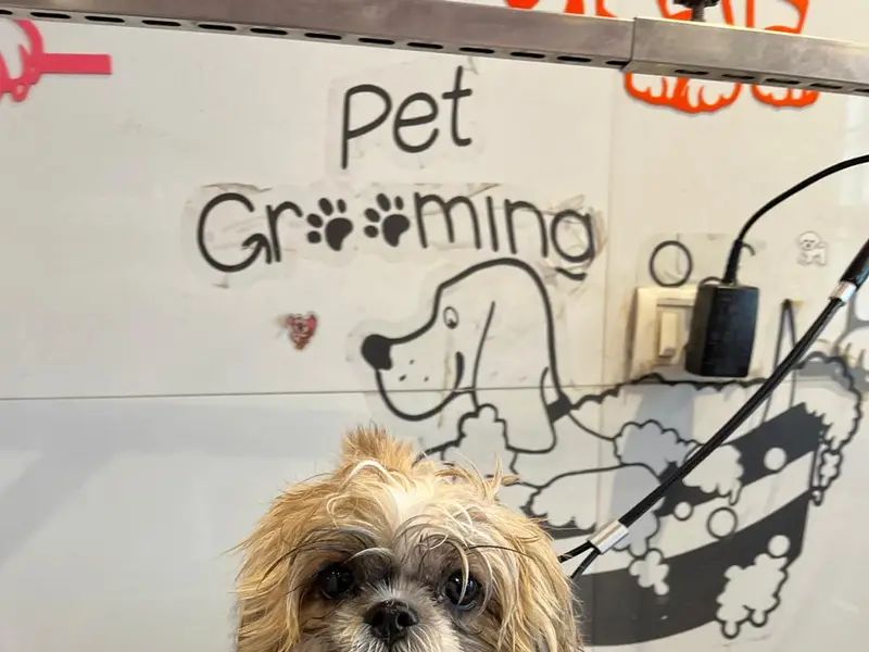 Furrever Happy Pet Spa & Store, photo 2