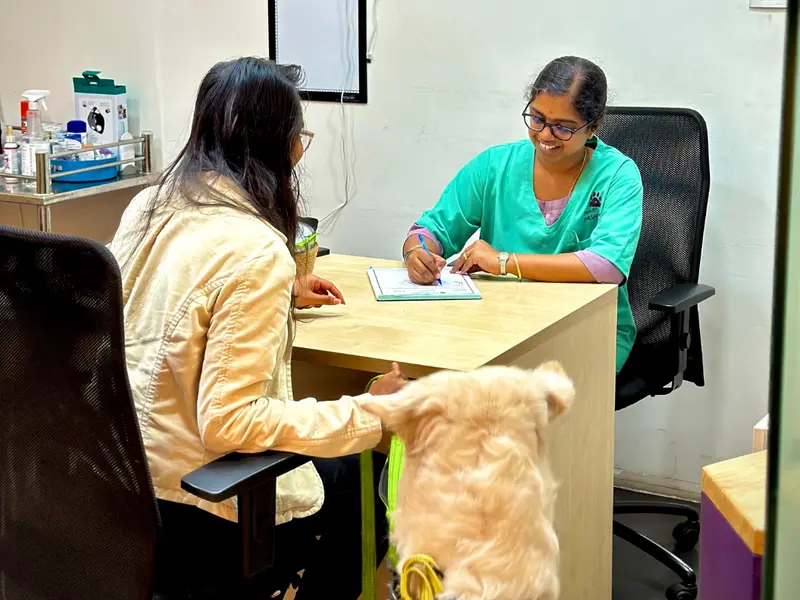 Hallmark Veterinary Pet Clinic By PawsnCollars, photo 4