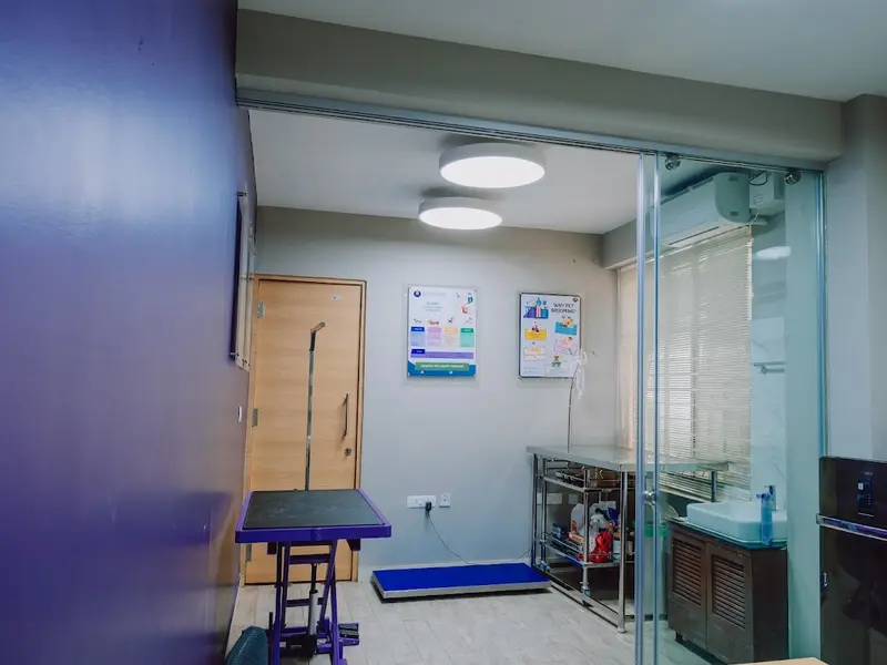 Hallmark Veterinary Pet Clinic By PawsnCollars, photo 5