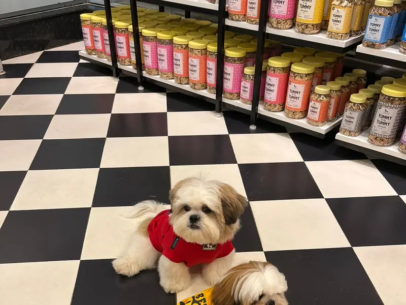 Heads Up For Tails Pet Store & Spa - Sector 1, HSR Layout, Bengaluru, photo 3