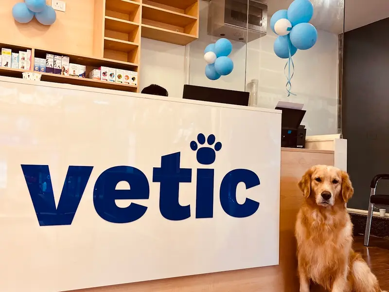 Vetic Pet Clinic HSR Layout, photo 3