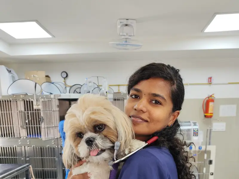 Vision Vet Life Clinic