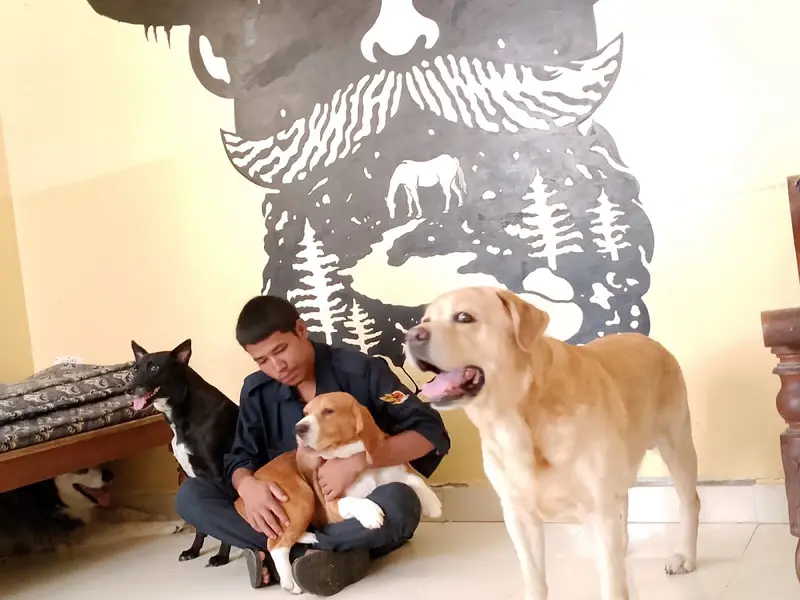 Forest Friend's Pet Boarding - Homestay/Boarding for Dogs and Cats, photo 3