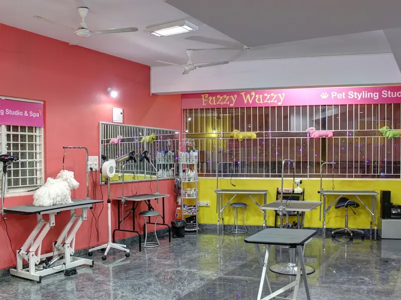 Fuzzy Wuzzy - Pet Styling Studio & Spa - Pet Grooming School, photo 3