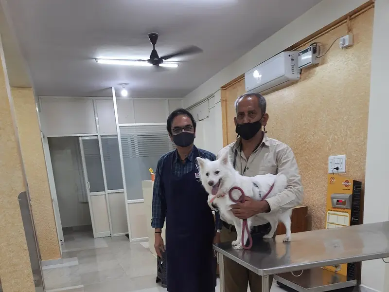 Indira Pet Clinic 24/7, photo 2