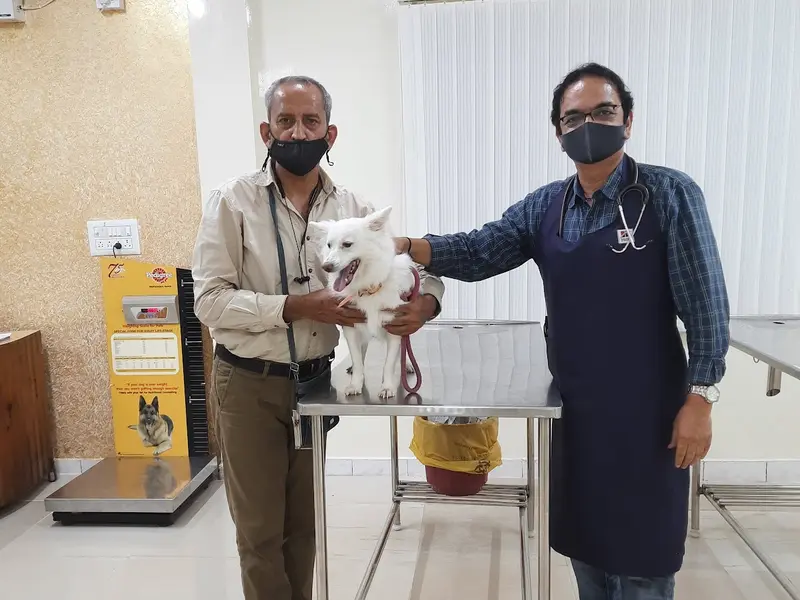 Indira Pet Clinic 24/7, photo 5