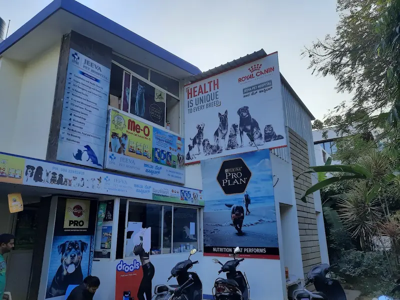Jeeva Pet Hospital, photo 2