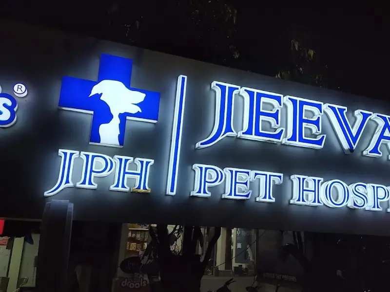 Jeeva Pet Hospital, photo 3