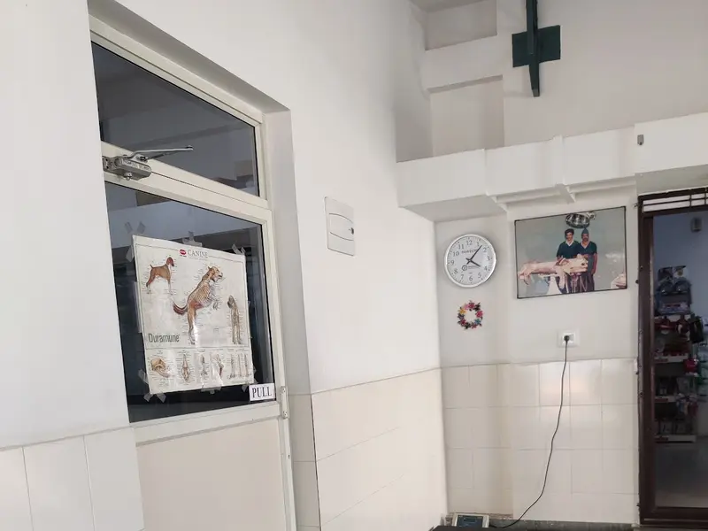Pampapathi Multi Speciality Pet Hospital, photo 4